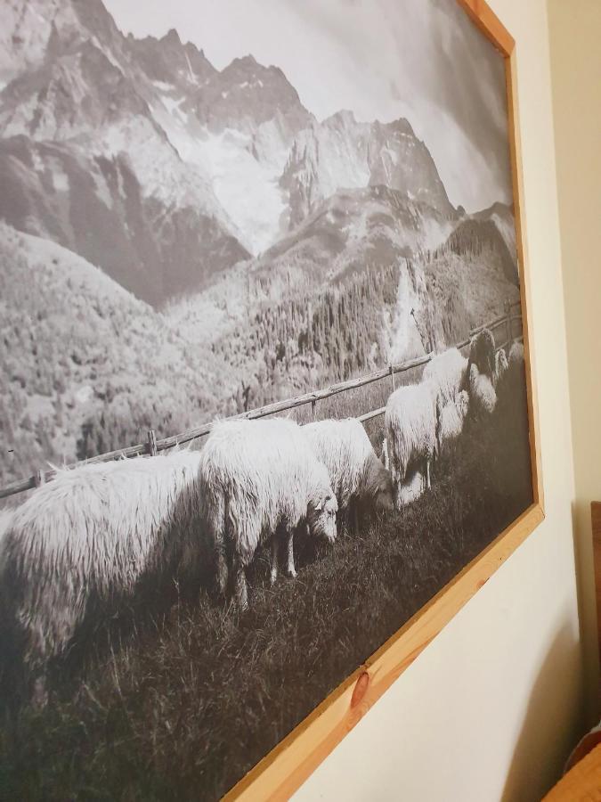 Apartament Izba W Centrum Zakopane Exteriér fotografie
